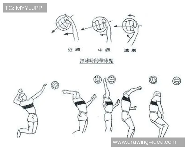 排球巨献：深入解析杭州排球队的耐力训练与竞技精神