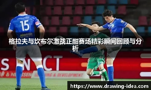 熊猫体育官网